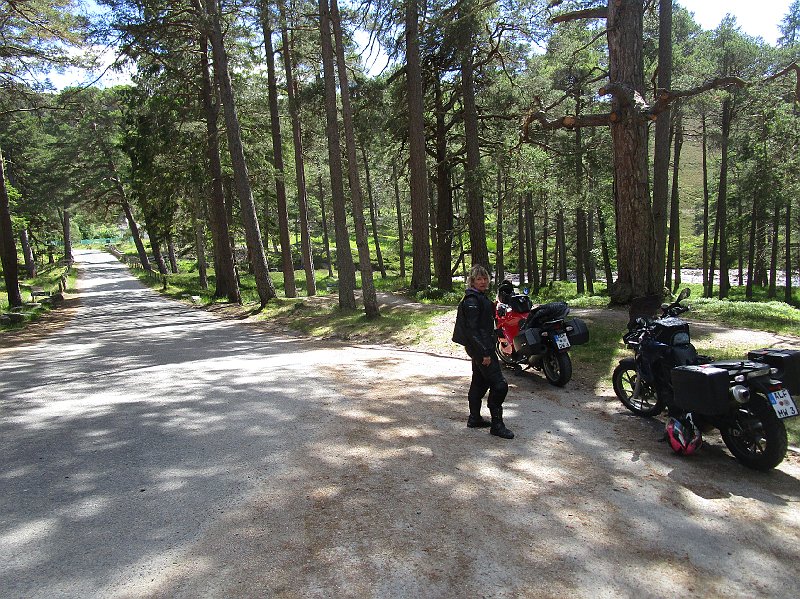 2018.06.30 Schottland Lossiemouth (1451).JPG